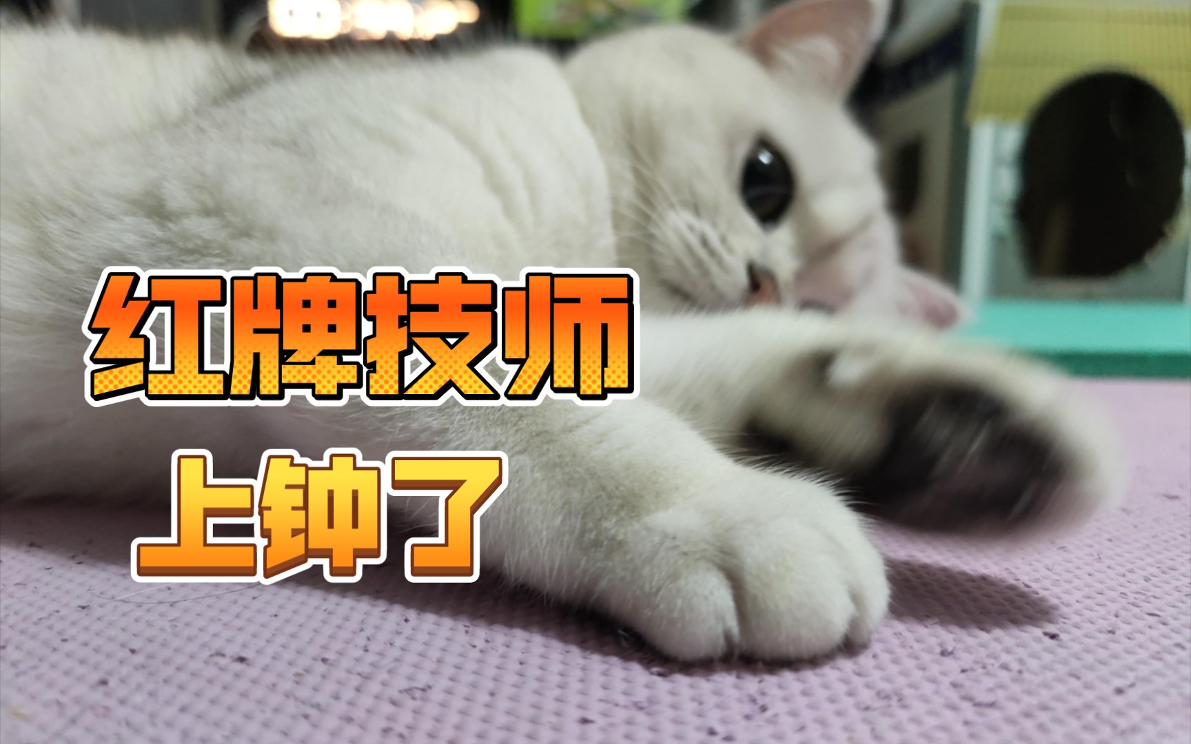 上钟儿了_哔哩哔哩_bilibili