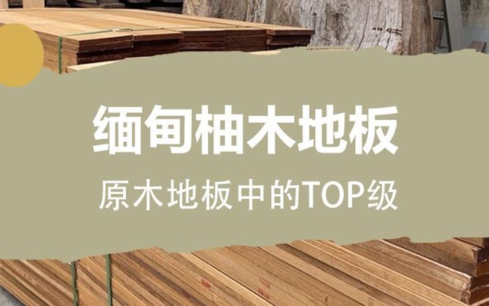 缅甸柚木地板,原木地板中的TOP级地板哔哩哔哩bilibili