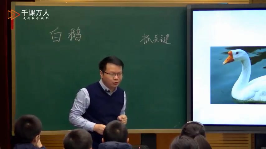 [图]四下：《31.白鹅 (执教：曹海永)（》名师优质公开课 教学实录 小学语文 部编版 人教版语文 四年级下册 4年级下册， 优质课、公开课、比赛课，观摩课、精品课