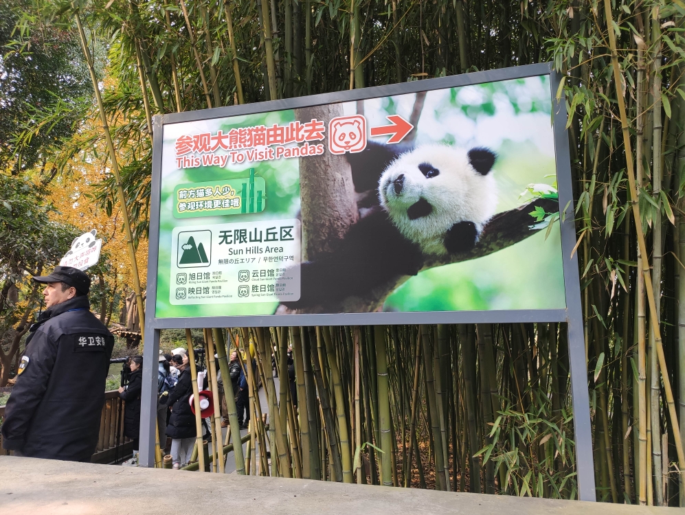 [图]【赛博旅游】看完这个视频就等于逛完了成都大熊猫繁育研究基地（攻略+游记）