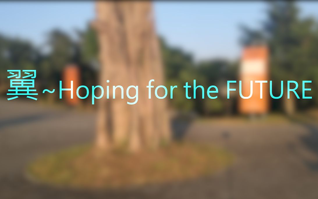 [图]【吉他翻弹】翼~Hoping for the FUTURE~ 带制作的十周年Wings确定不进来看看吗？