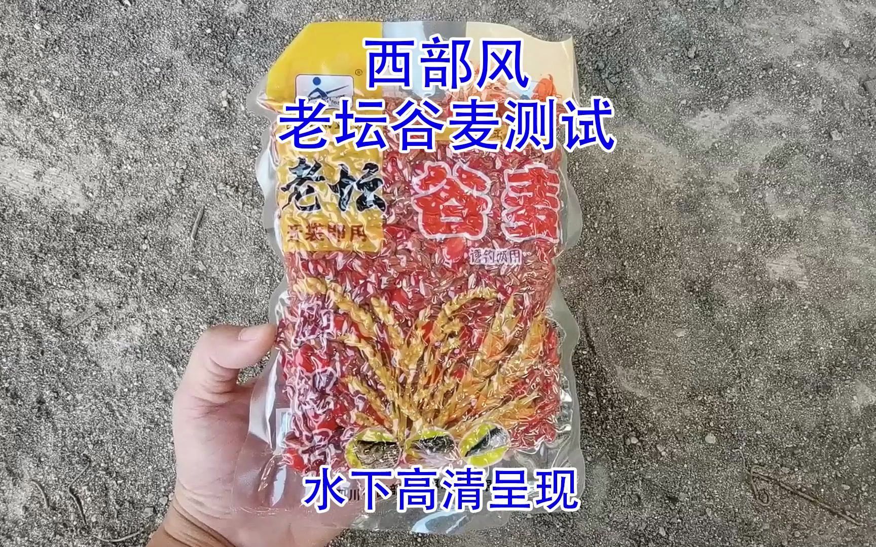 很多钓友都说西部风的谷麦打窝效果好,这回我是真信了哔哩哔哩bilibili