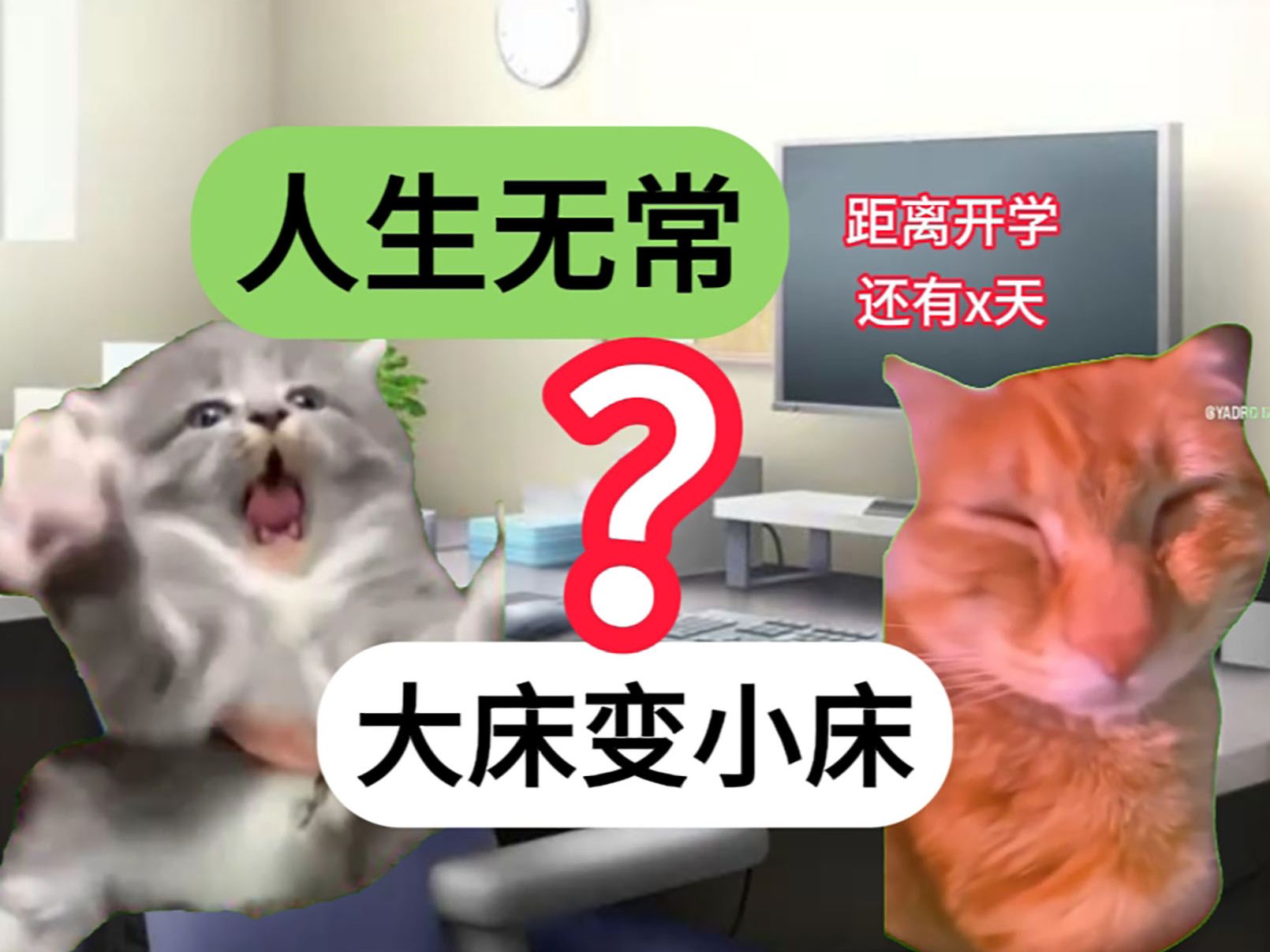 [图]【猫meme】开学前的精神状态