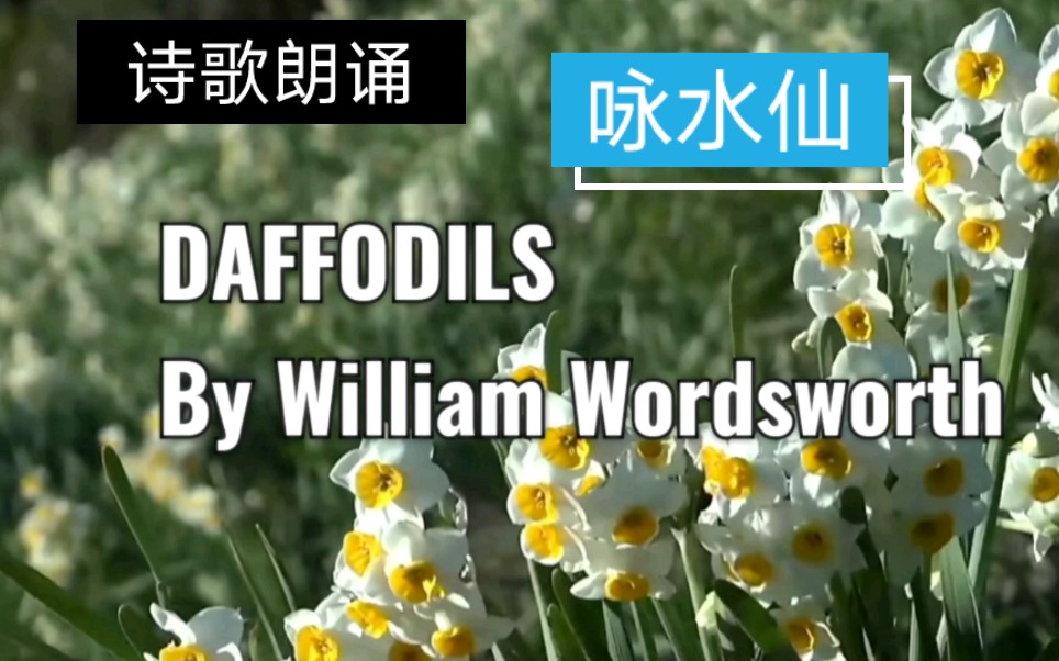 [图]【诗歌朗诵】《咏水仙》Daffodils by William Wordsworth 没错，此诗作者就是考研英语二的翻译题—威廉•华兹华斯