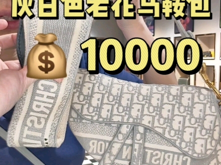 迪奥马鞍包￥10000哔哩哔哩bilibili