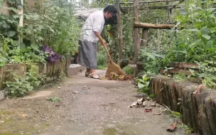 下载视频: 还没察觉到山里的夏天，结果秋天如期而至，又一个收获的季节