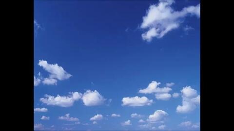 搜索 哔哩哔哩 つロ 干杯 Bilibili