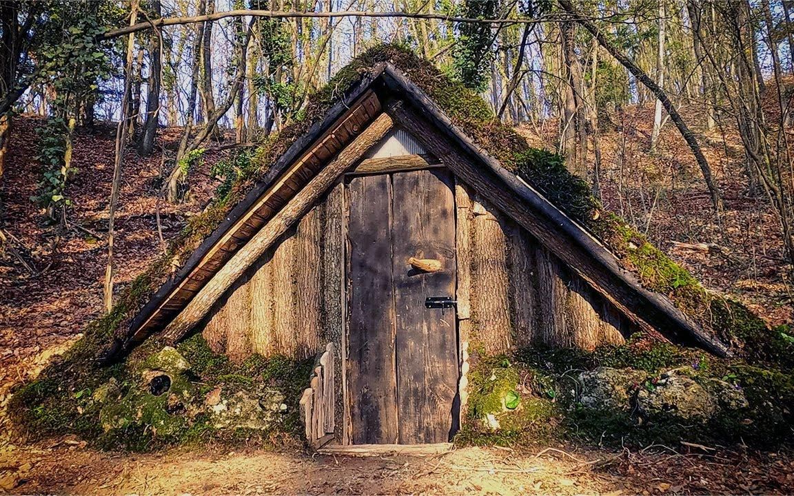 活动  用最原始的技巧,修建一座坚不可摧的木头小屋,刮风下雨也不怕!