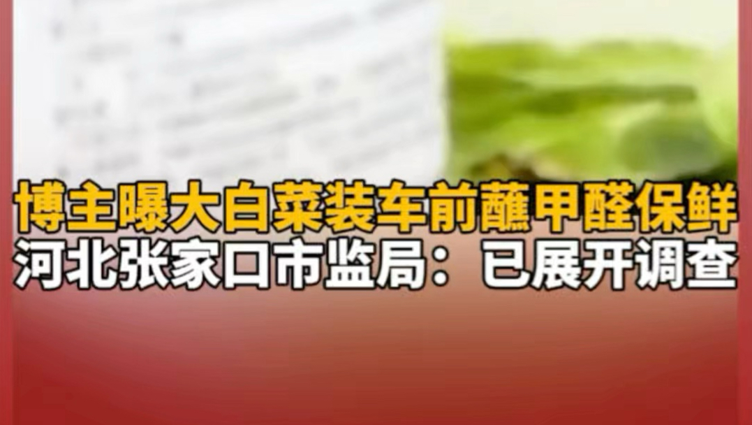 博主曝大白菜装车前蘸甲醛保鲜，河北张家口市监局：注意到相关情况，已展开调查
