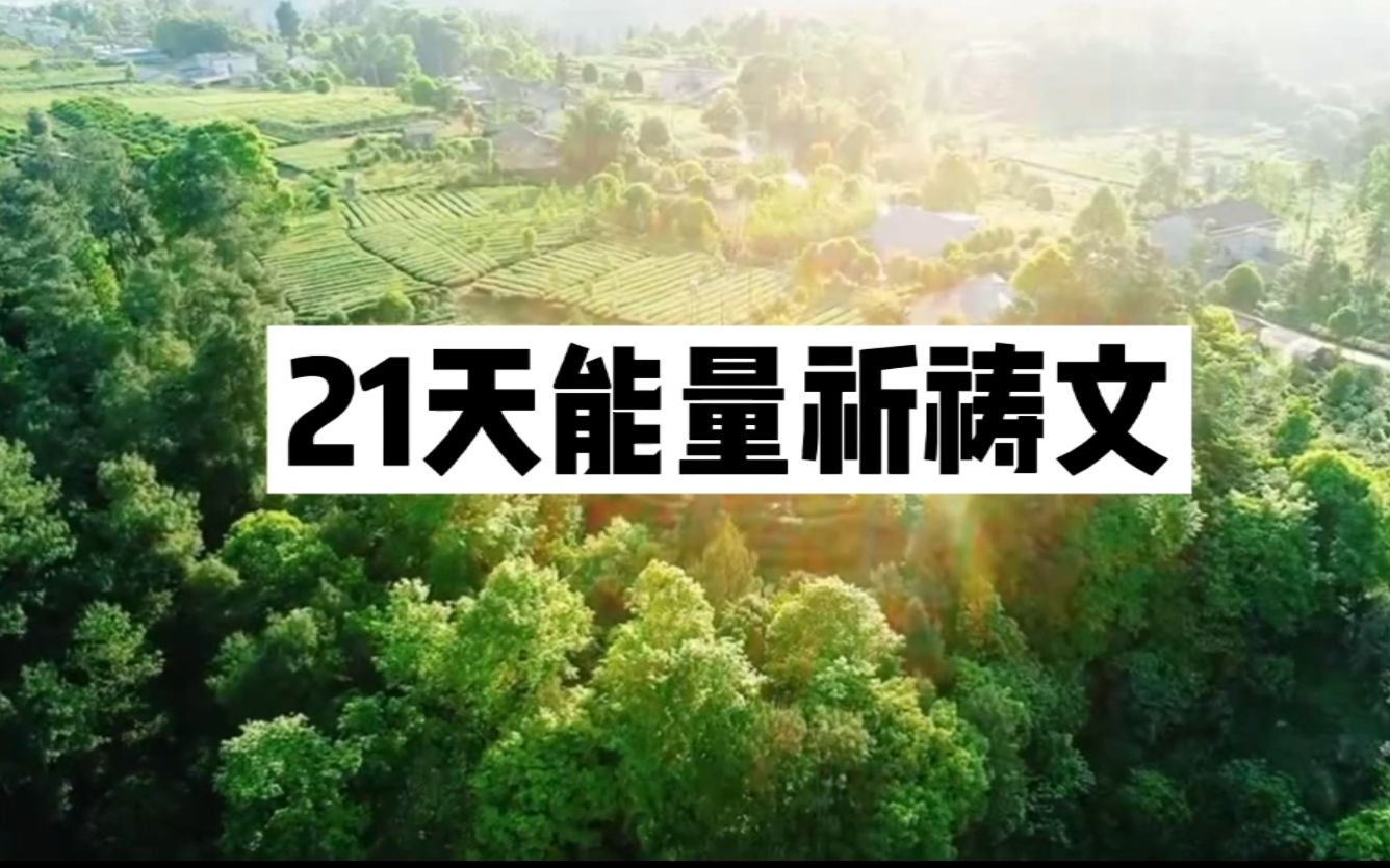 高频能量祈祷文领读 每天一遍21天会发生奇妙变化!【饭饭】哔哩哔哩bilibili