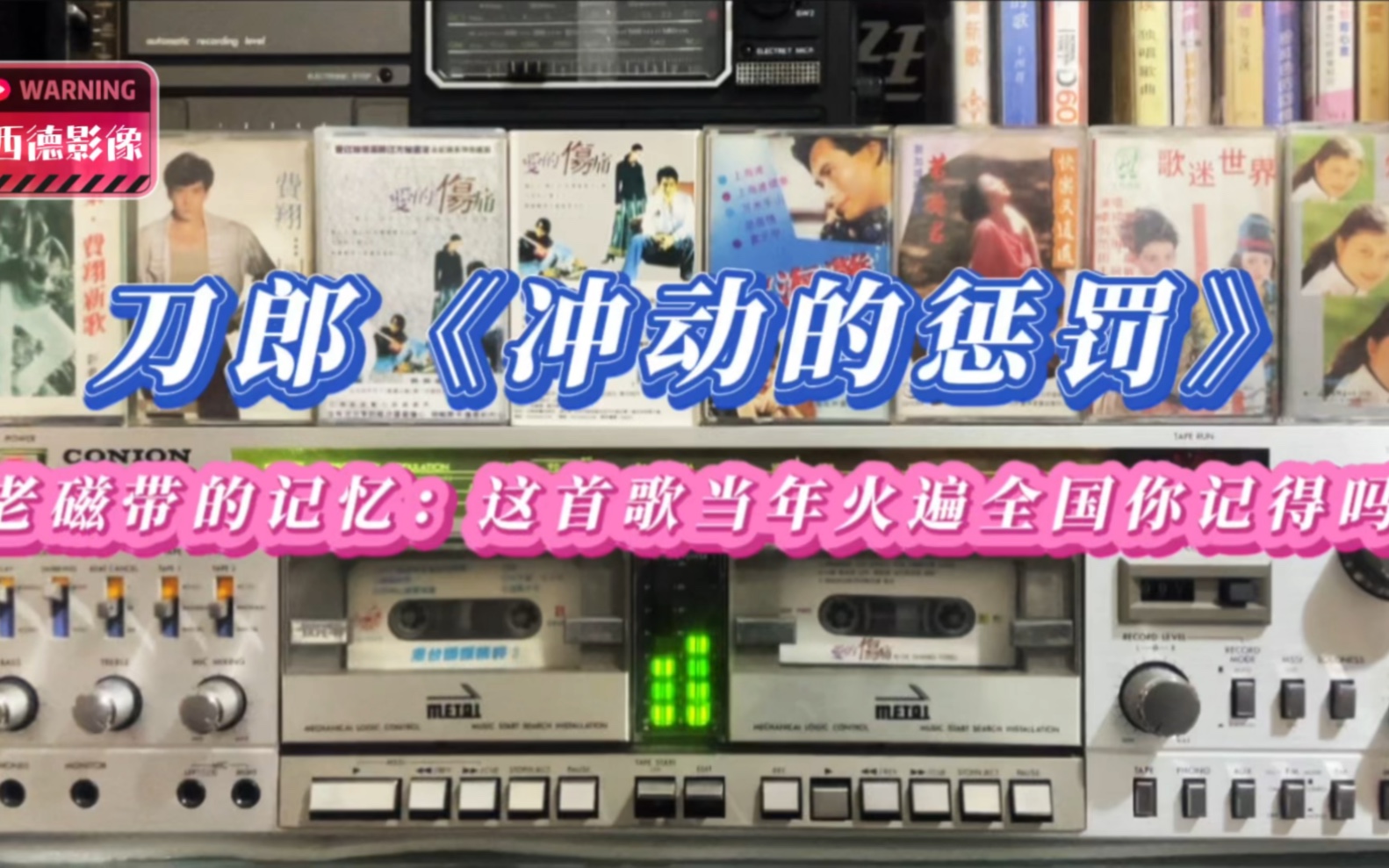 歌曲冲动的惩罚(歌曲冲动的惩罚表达什么情感)