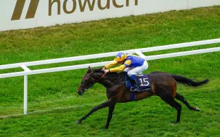 英皇锦标 搜索结果 哔哩哔哩 Bilibili