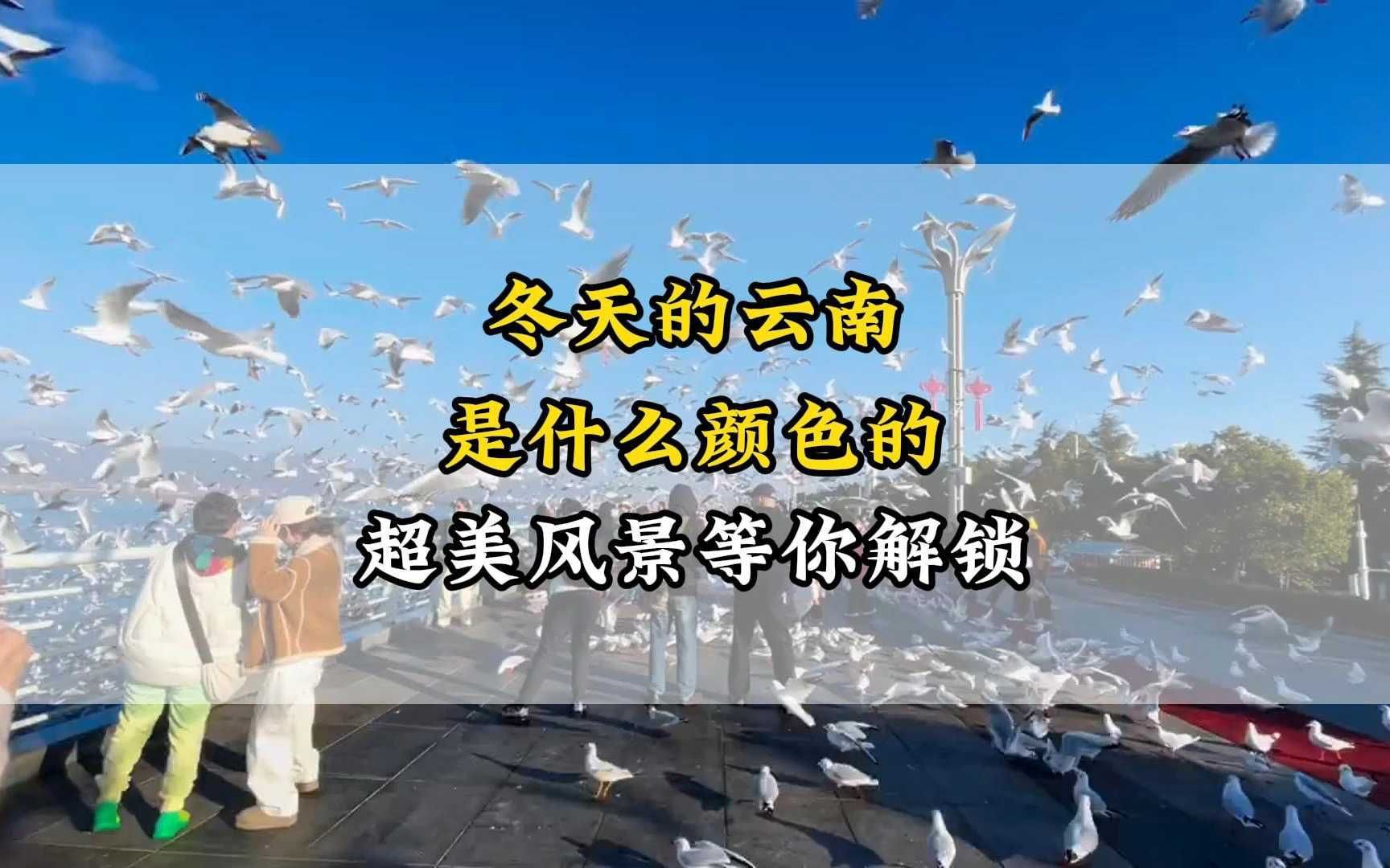 冬天的云南是什么颜色的?跟着这个视频一起解锁超美云南风景哔哩哔哩bilibili