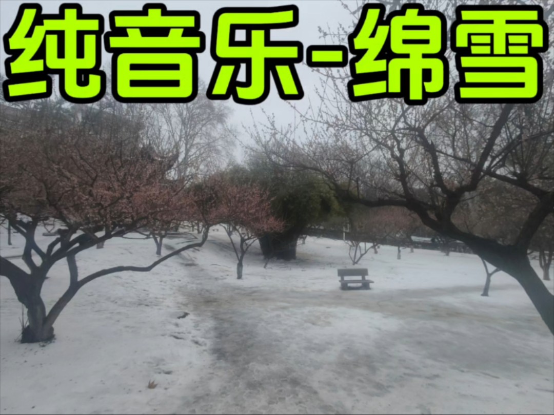 纯音乐《绵雪》哔哩哔哩bilibili