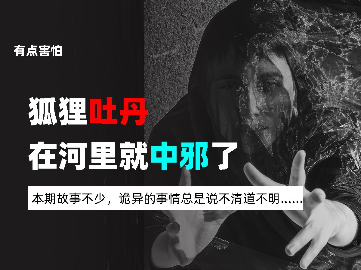 家里人身上都是狐狸?!狐狸吐丹、在河里就中邪了、莫名其妙的车祸、诡异的倒车哔哩哔哩bilibili