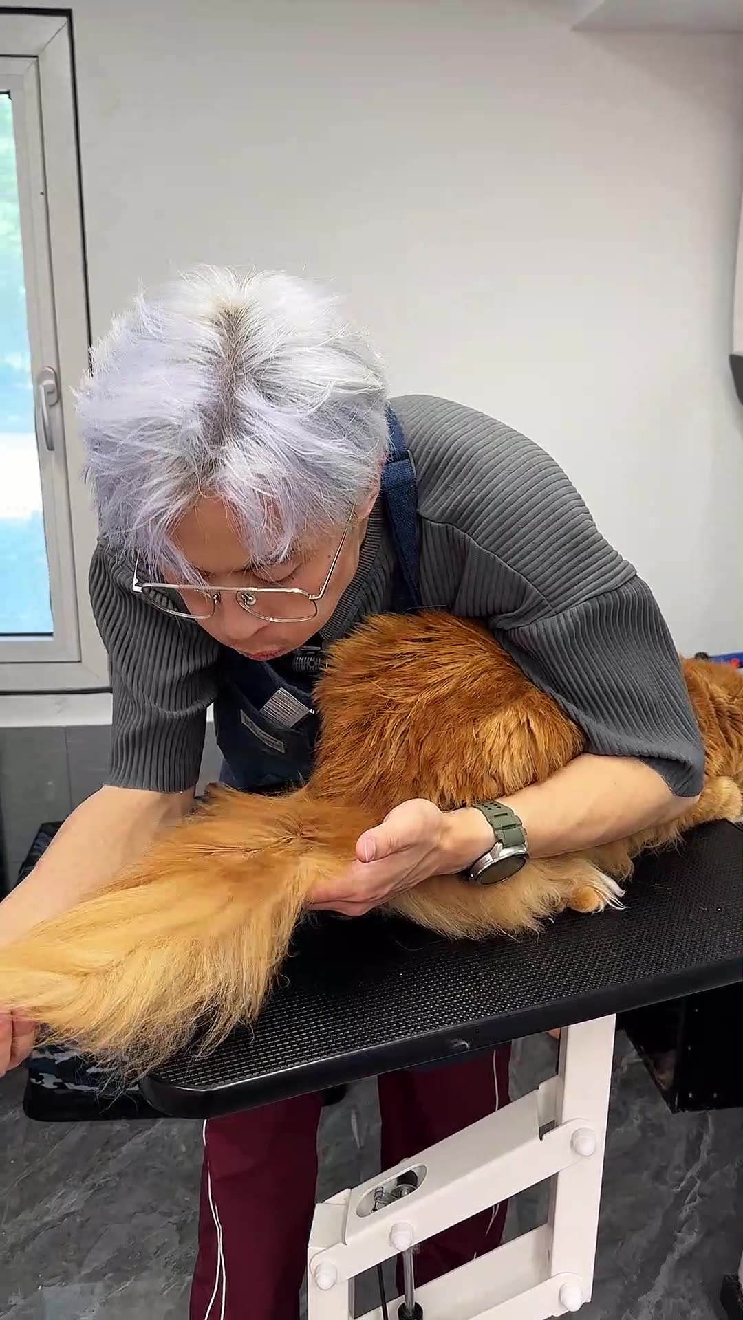 都快养成俄罗斯缅因了 的确够大