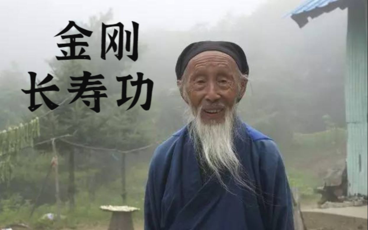 [图]张至顺道长金刚长寿功讲习