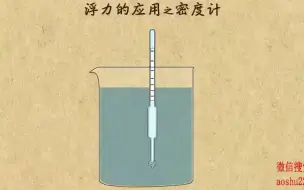 Video herunterladen: 13. 浮力的应用之密度计