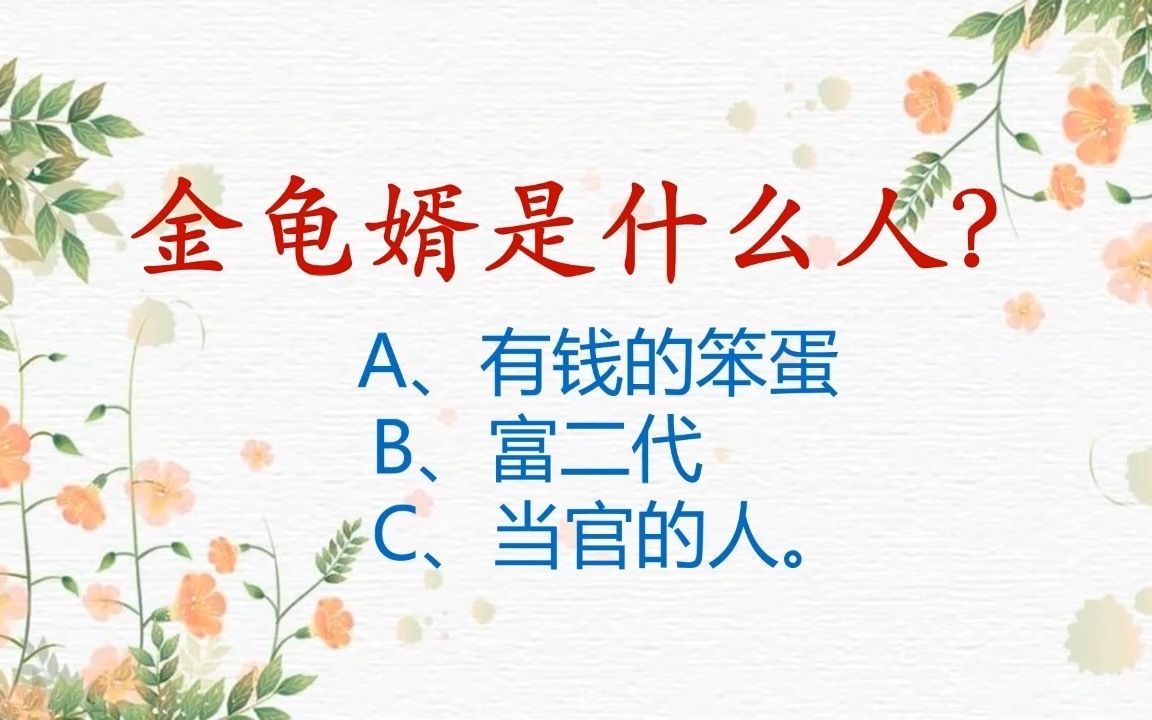 金龟婿是什么人?