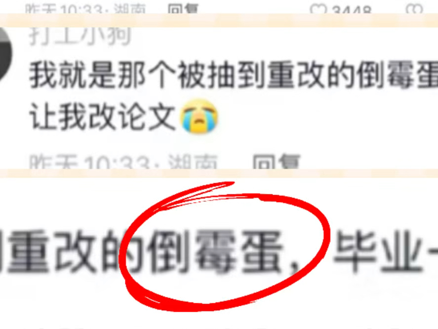 一年一度的毕业论文抽检又来咯!!哔哩哔哩bilibili