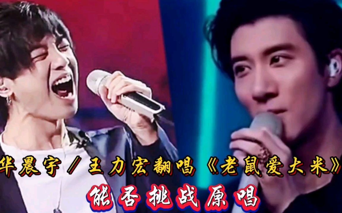 【王力宏 华晨宇】翻唱《老鼠爱大米》谁更胜一筹,能否挑战原唱?