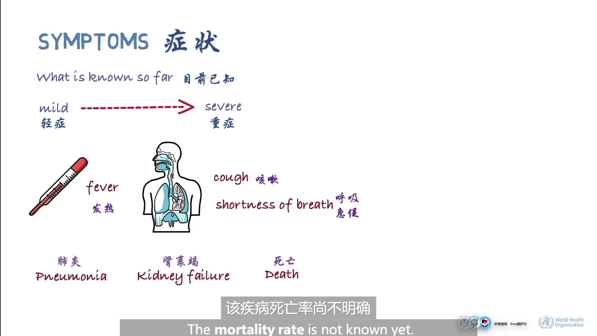 世界卫生组织新型冠状病毒科普(编辑字幕版)哔哩哔哩bilibili