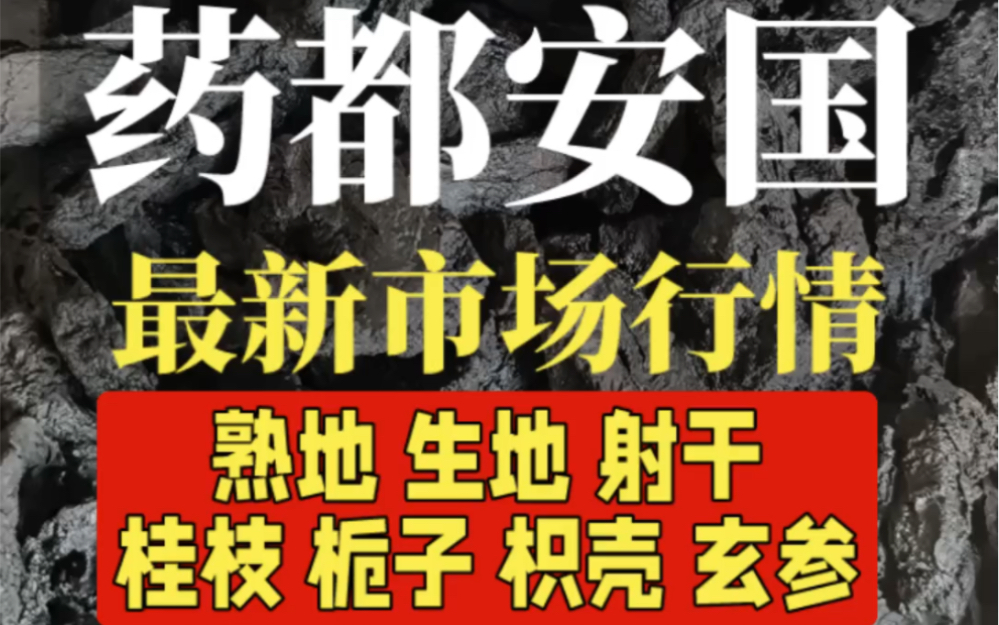 今日分享 最新市场行情 熟地 生地 射干 桂枝 栀子 枳壳 玄参 @滋补二丫 #中药材 #优质农产品 #三农哔哩哔哩bilibili