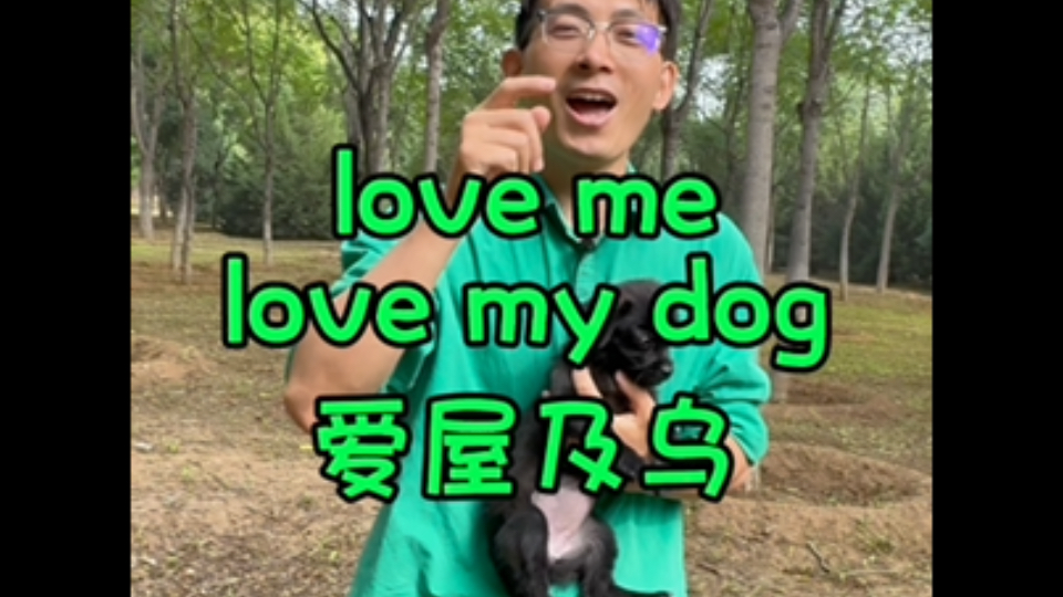 love me, love my dog【爱屋及乌】因为我爱你,所以爱你的狗lazy dog【懒汉】懒得跟狗一样哔哩哔哩bilibili