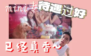 Video herunterladen: 【Reaction】一张mini两首先行？SM的想法我猜不透...感觉意义不大？aespa《Life's Too Short》