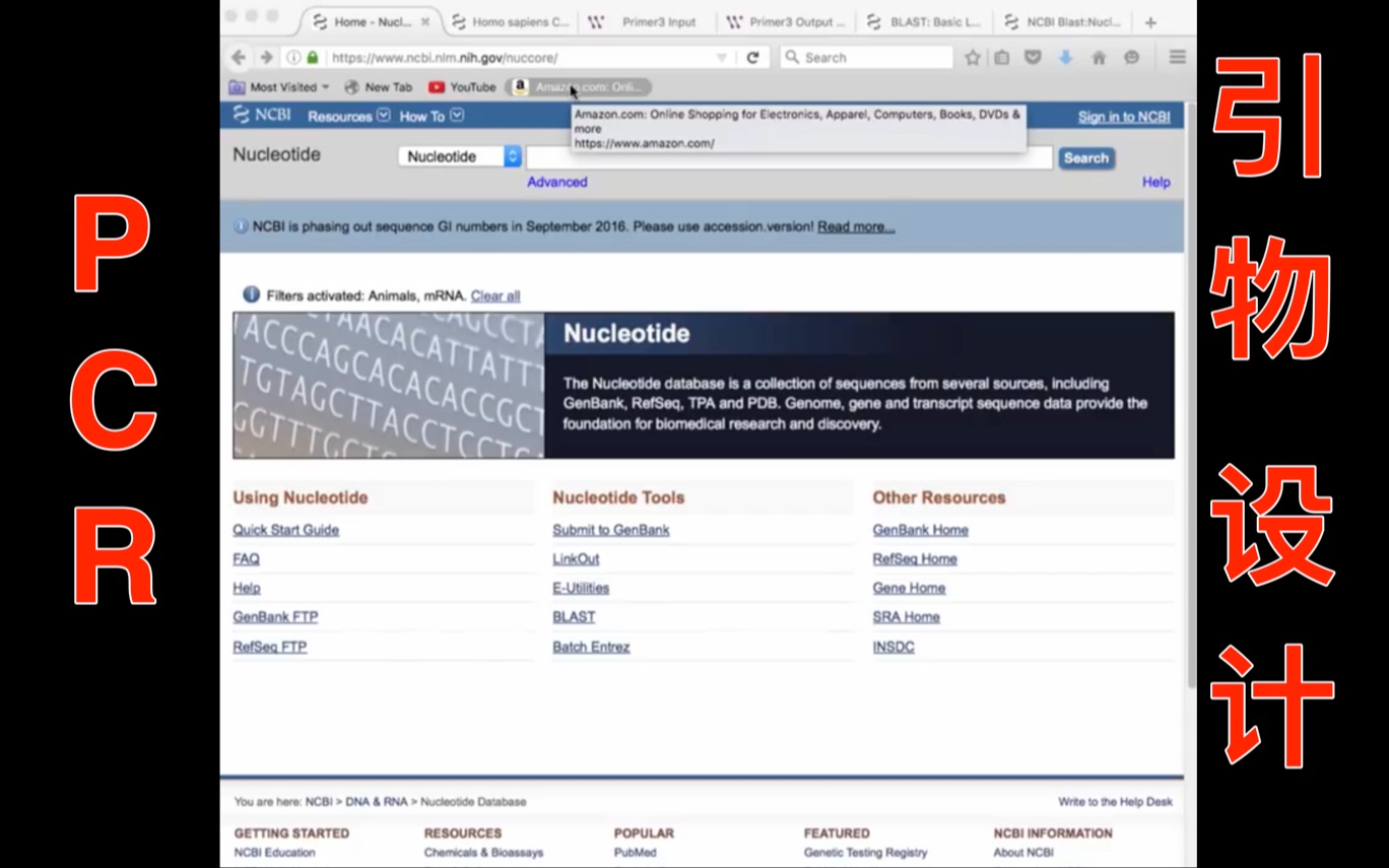 设计PCR引物(How to Design Primer Sequences for PCR)哔哩哔哩bilibili