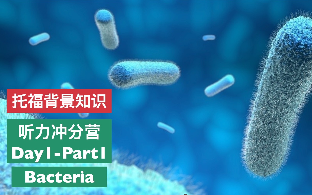 点对点托福背景知识Biology听力冲分营Day1Part1 Bacteria哔哩哔哩bilibili