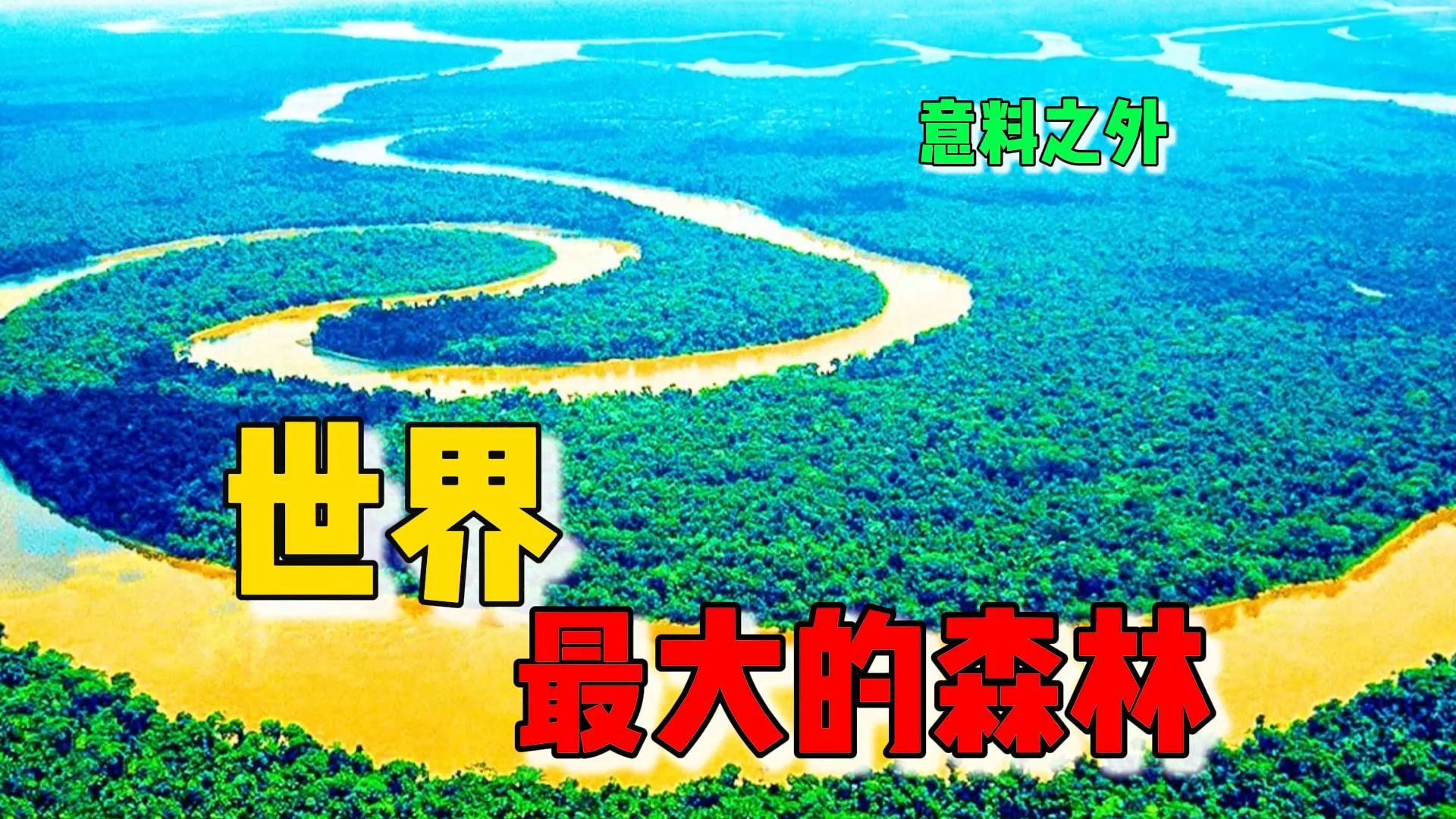 全世界最大的10个森林!亚马逊只排第2,第一名占地1700万 平方,比台湾更大470倍哔哩哔哩bilibili