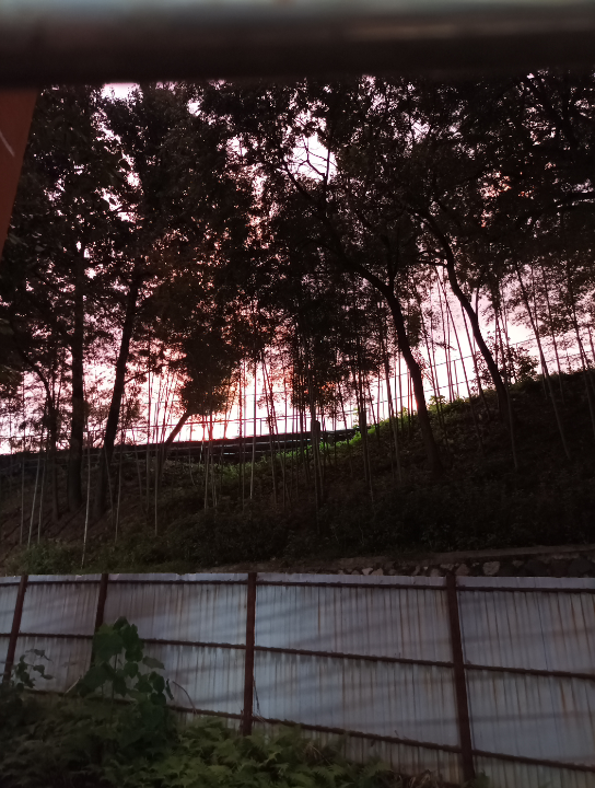 2211_哔哩哔哩_bilibili