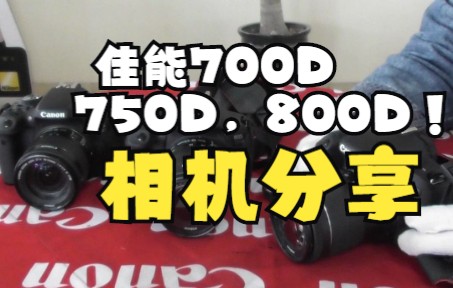 佳能700D 750D 800D 相机分享!二手相机销售!哔哩哔哩bilibili