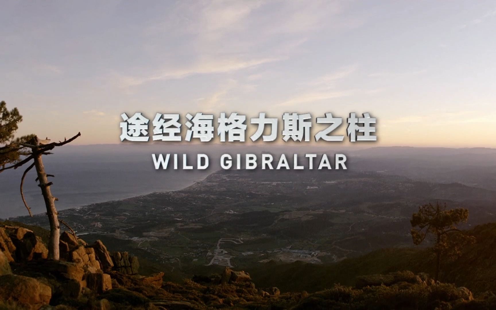 【央视】《途经海格力斯之柱》【1080p 】_哔哩哔哩_bilibili