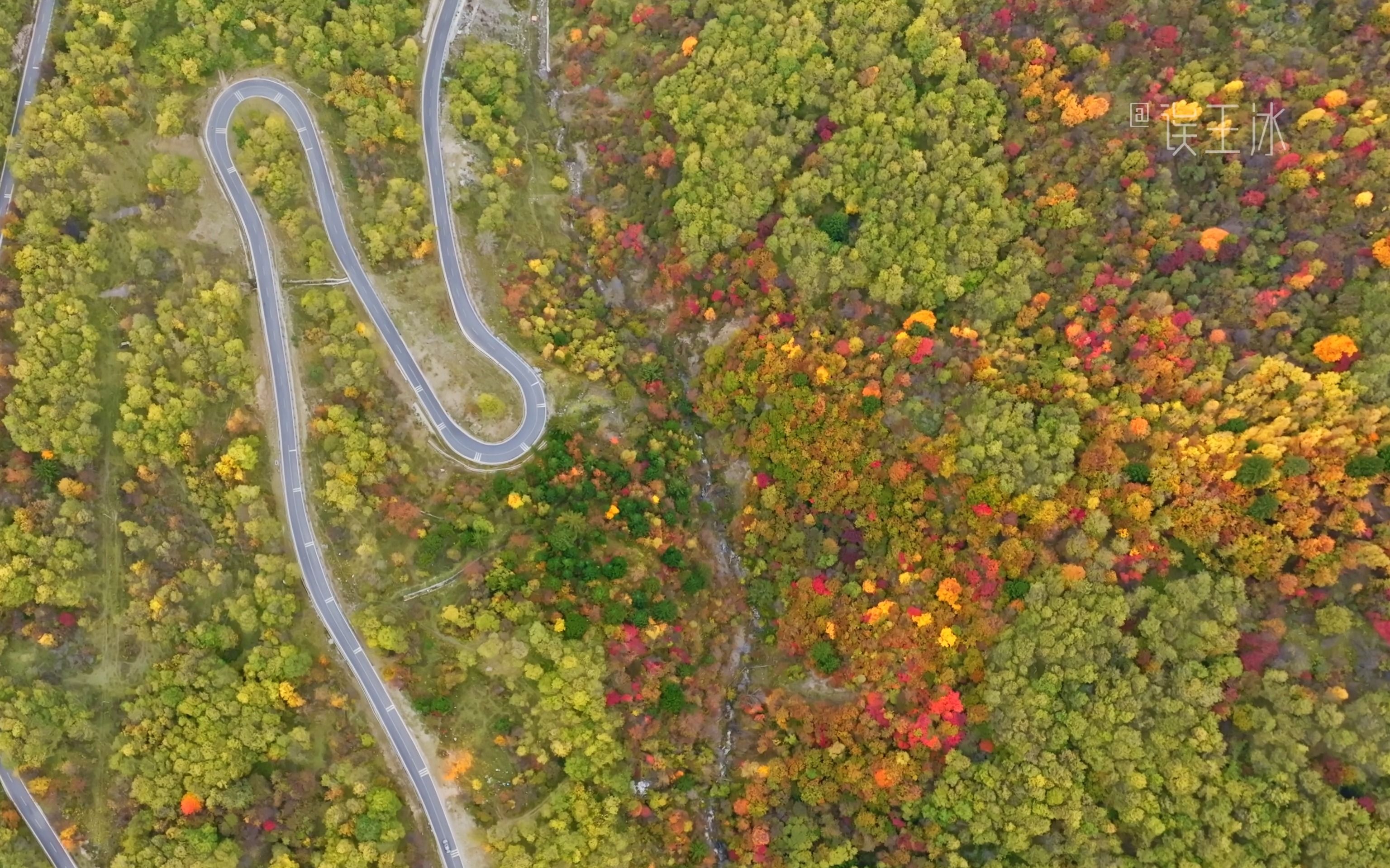 这样的色彩,很秋天 「中查沟」
