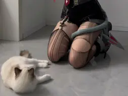 老鼠怕猫？这是谣传！