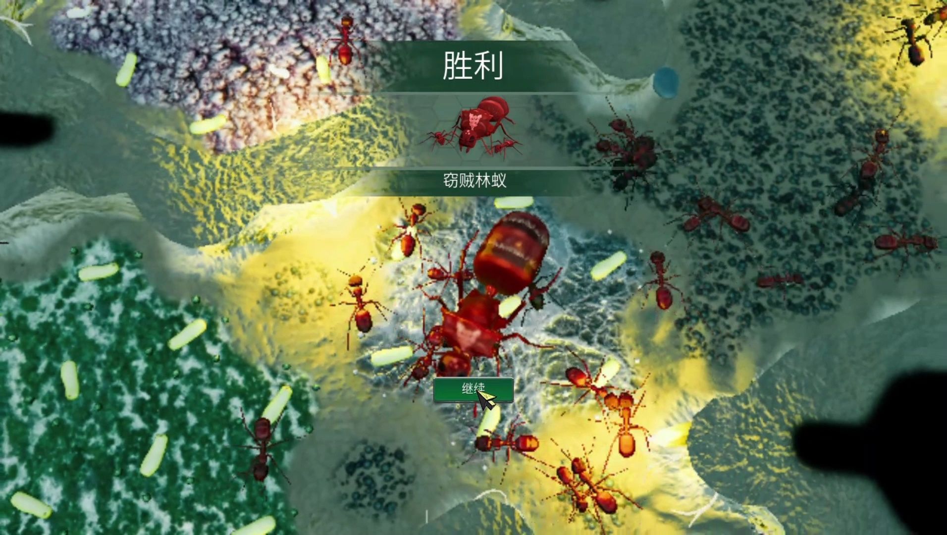 地下蚁国养殖箱挑战一极限
