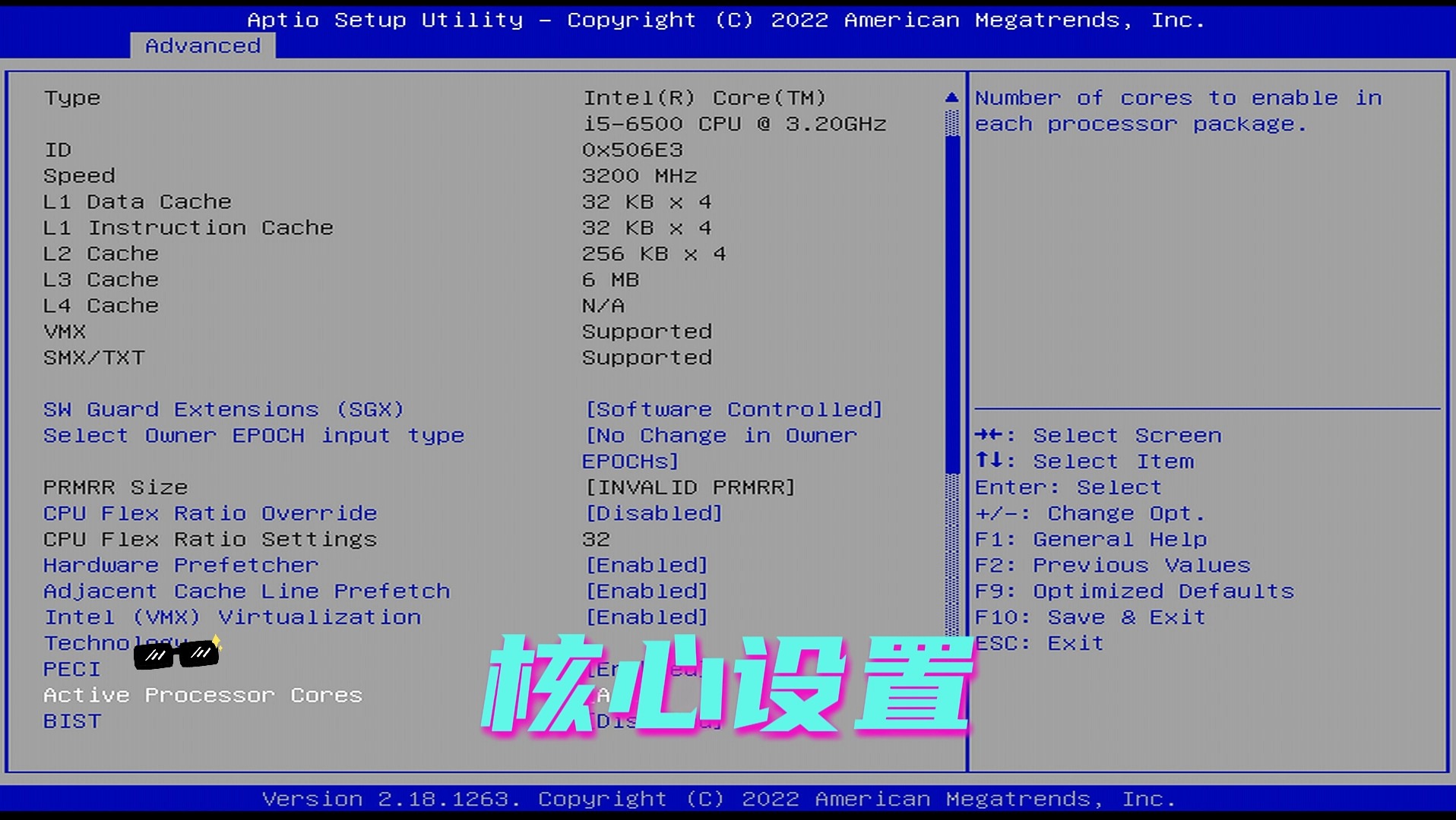 华南金牌B250D4主板BIOS设置教程哔哩哔哩bilibili