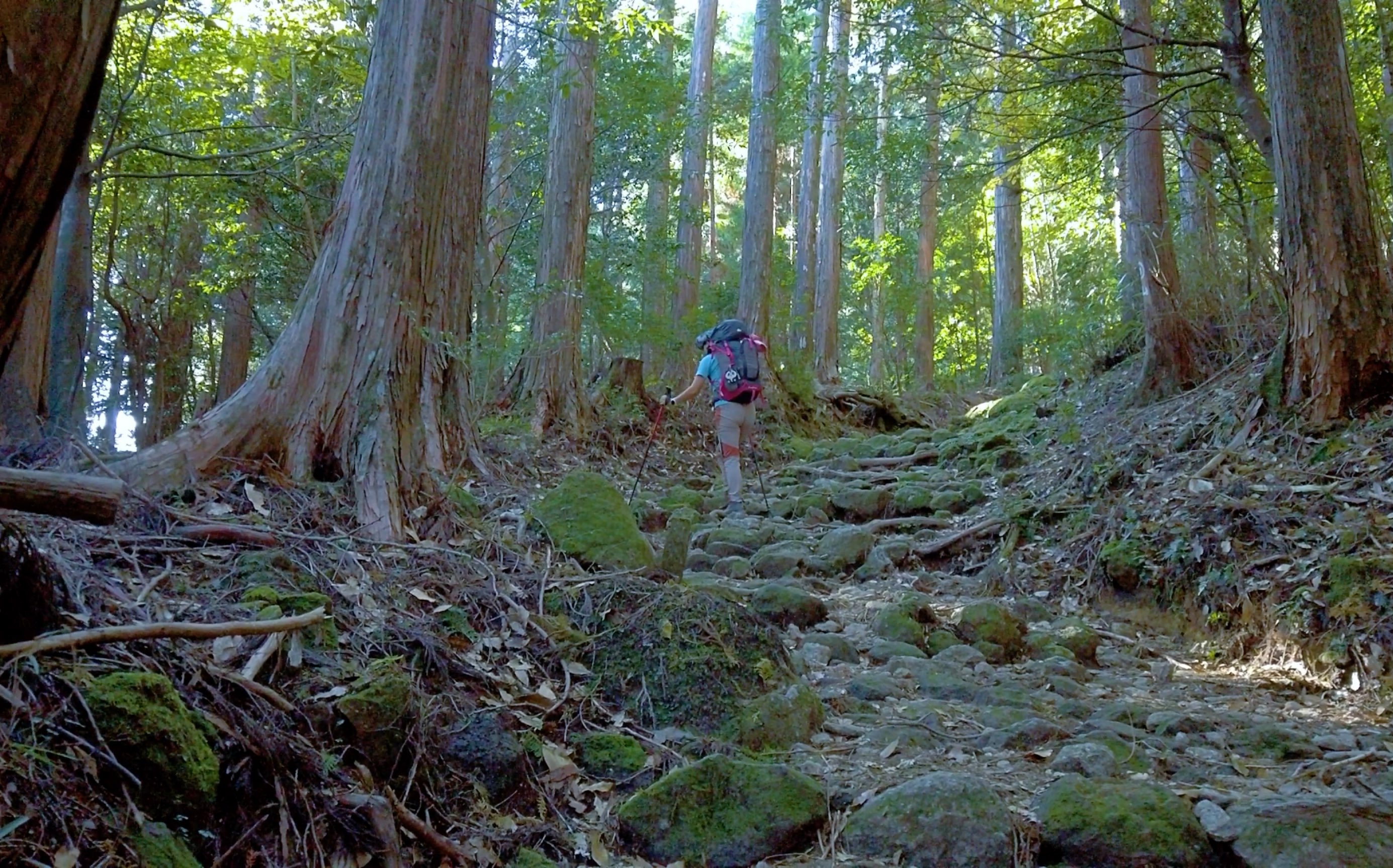 熊野古道第四天 日本徒步加长版