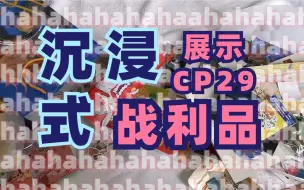 Download Video: 在CP漫展上花了1000块都买到了些啥？