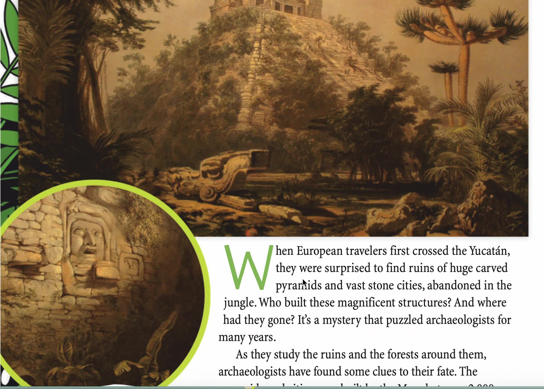 丛林里的遗迹theruinsinthejungle