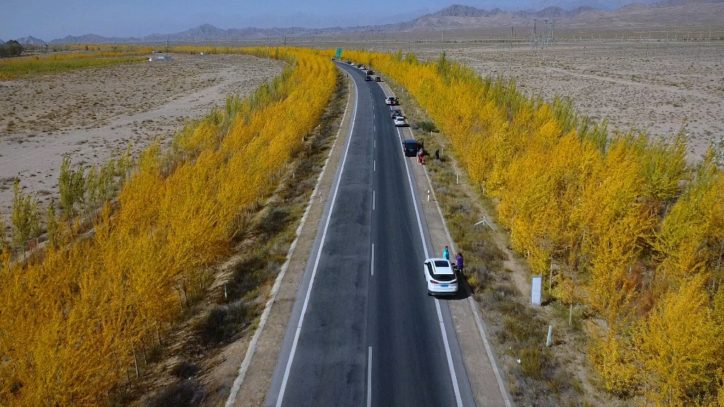 国道315_哔哩哔哩_bilibili