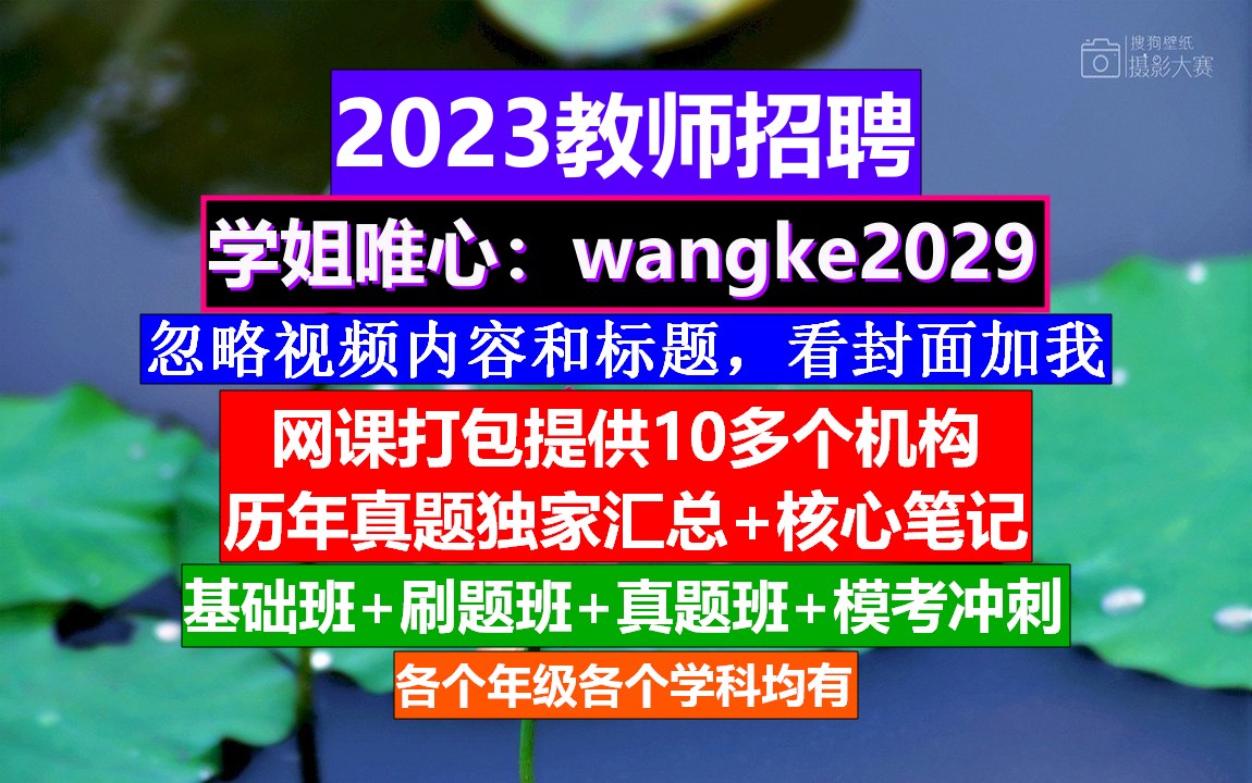 23年全国教师招聘教育综合知识,教师编制考试是什么时候,公招考试时间哔哩哔哩bilibili