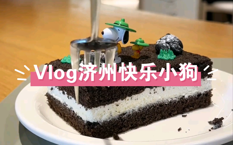 Vlog快乐打开济州岛 临时决定五一来济州岛看看,Snoppy乐园是我的快乐老家,吃的很满意的炸炸组合:炸酱面➕炸鸡!哔哩哔哩bilibili