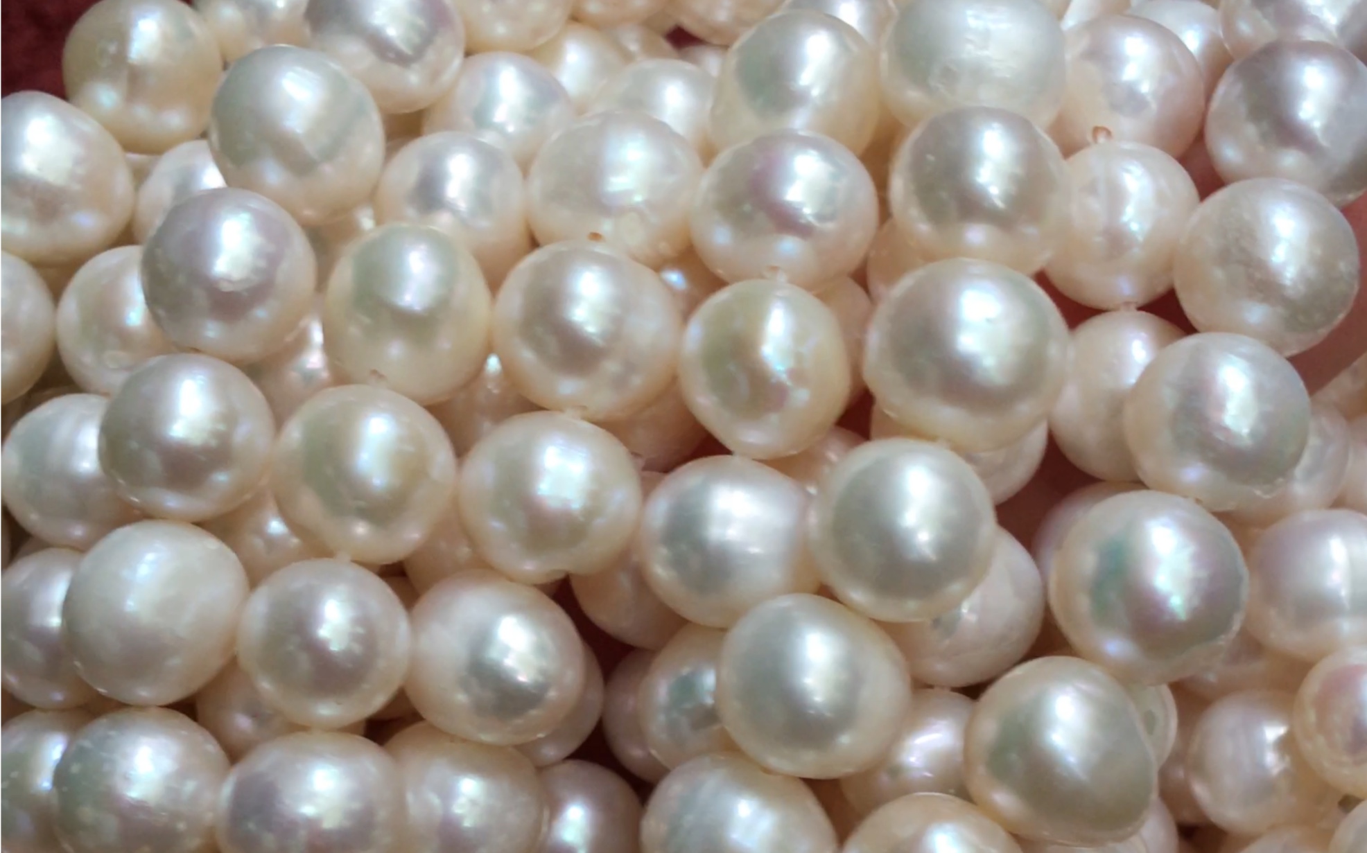 【在售】8-9近圆少瑕淡水无核珍珠,30r/条