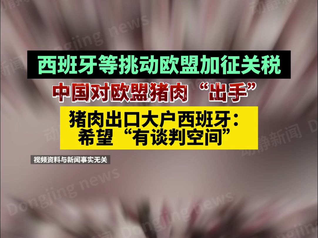 西班牙等挑动欧盟加征关税中国对欧盟猪肉“出手”,猪肉出口大户西班牙:希望“有谈判空间”哔哩哔哩bilibili