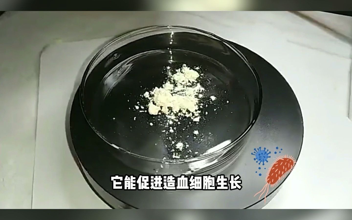 三七提取物的功效与作用哔哩哔哩bilibili