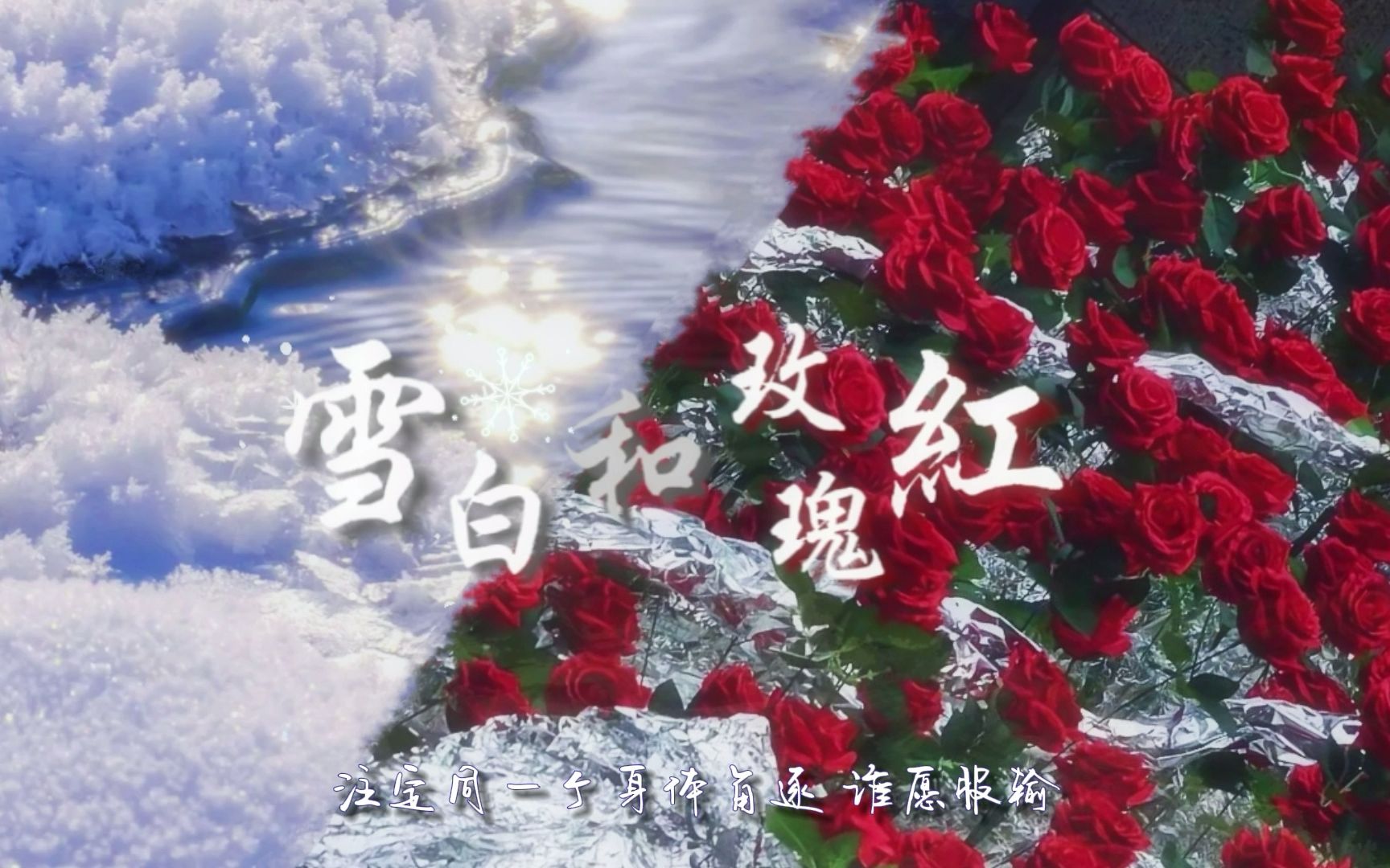 [图]【雪白和玫瑰红】【翻唱】灵魂血骨的冲突 雪白和玫瑰红