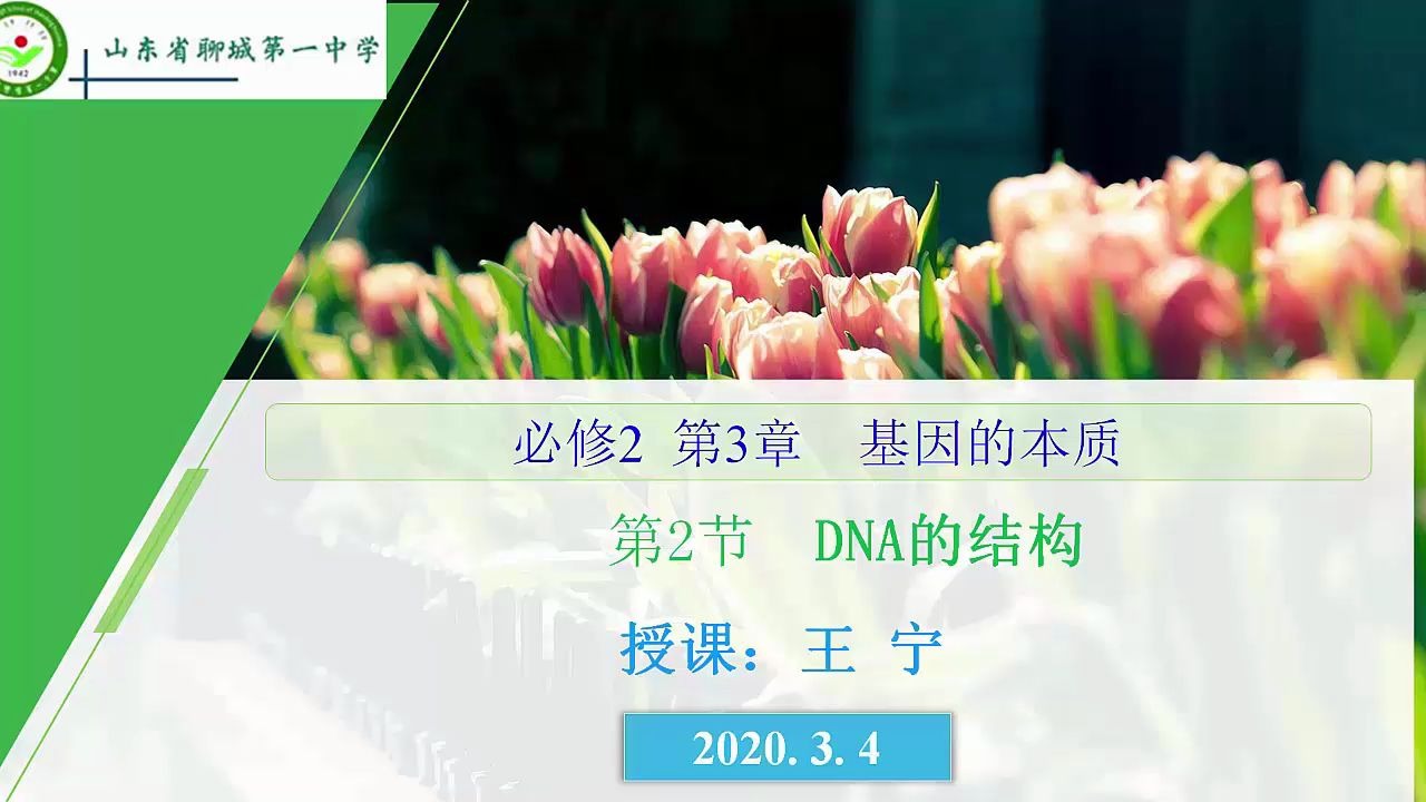 DNA的结构哔哩哔哩bilibili